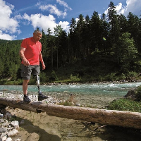 Műláb, művégtag, protézis