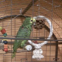 Beszélő Amazonunk várja vásárlóinkat !!!!